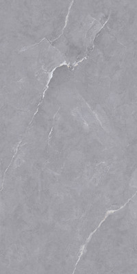 ZT9LZ312WA-娜金丝灰