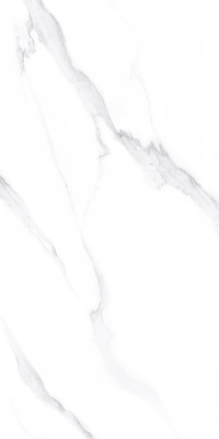 ZT9AZ737WA-柏尔白