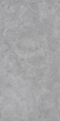 612BTZ110L-云海灰