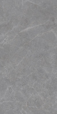 Z715XD018LR-Z佛罗伦萨灰