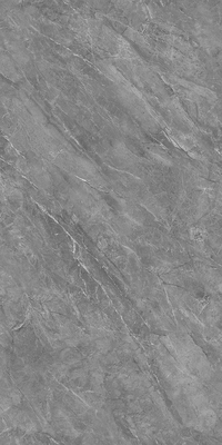 Z715D409L-Z-脉络石