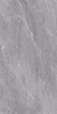 ZT9AZ763WA-高加索灰