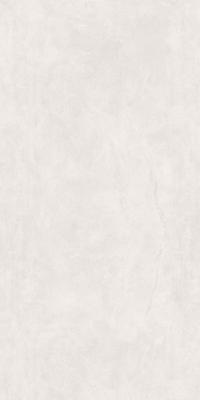 Z918SD296G-Z 卡洛星辰