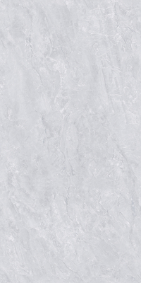 612BTZ108L-萨罗尼克灰