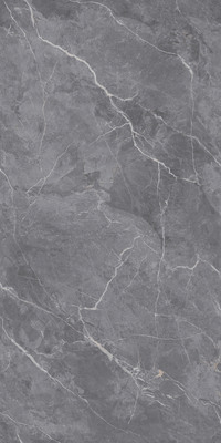 ZT9AZ769WA-金百利