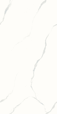 612BTZ101L-提洛斯